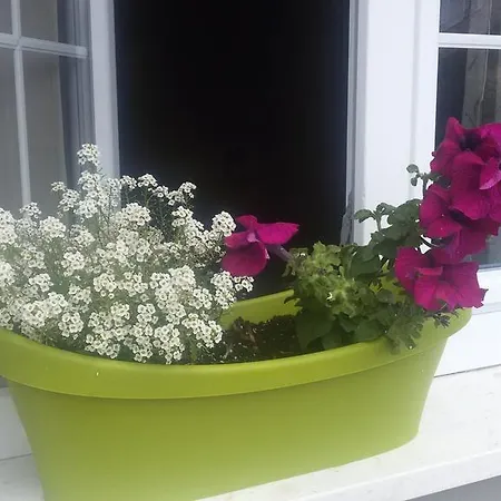 Viktorija Апартаменты Водице